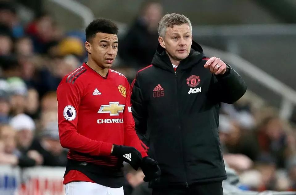 优化成更适 优化成更适